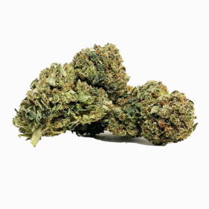 northern lights