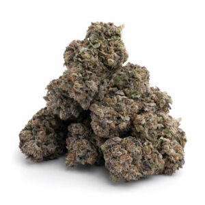 animal cookies