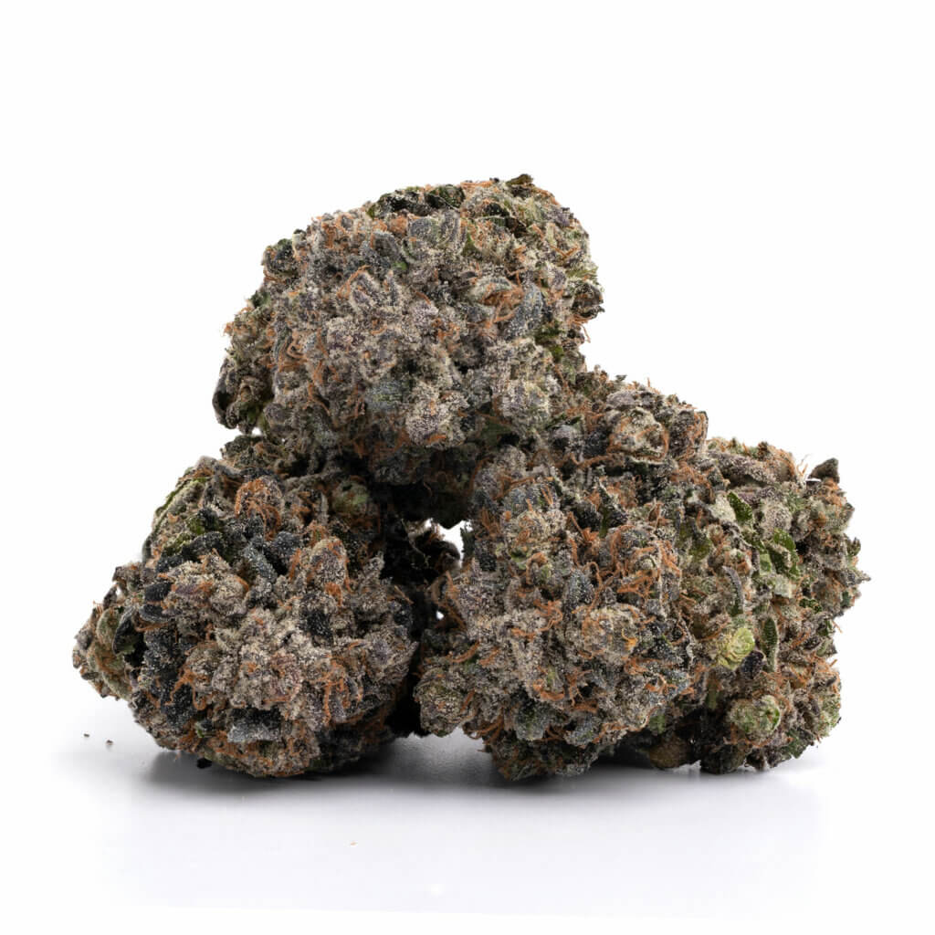 animal cookies animal cookies