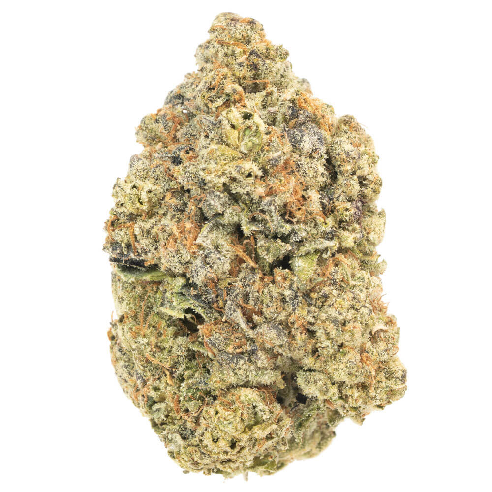 animal face animal face