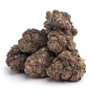 animal sherbert