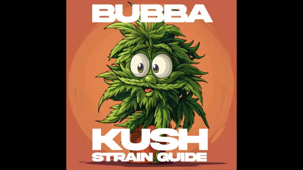 bubba kush strain guide