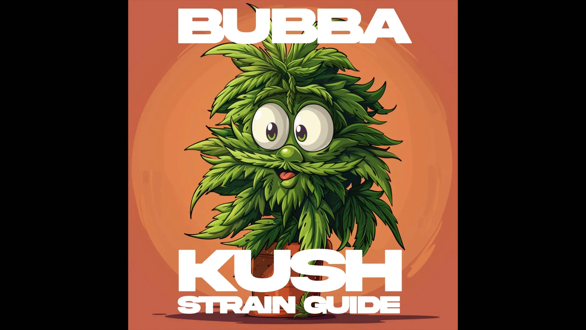Our Blog Bubba Kush Strain Guide