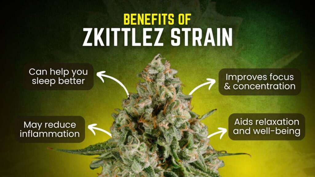 Zkittlez Strain Info benefits of zkittlez strain mer 041024