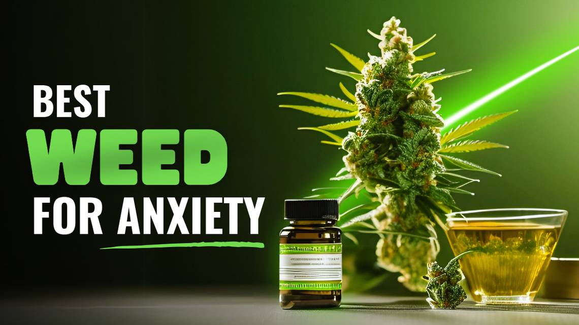 Our Blog Best Weed for Anxiety in 2024