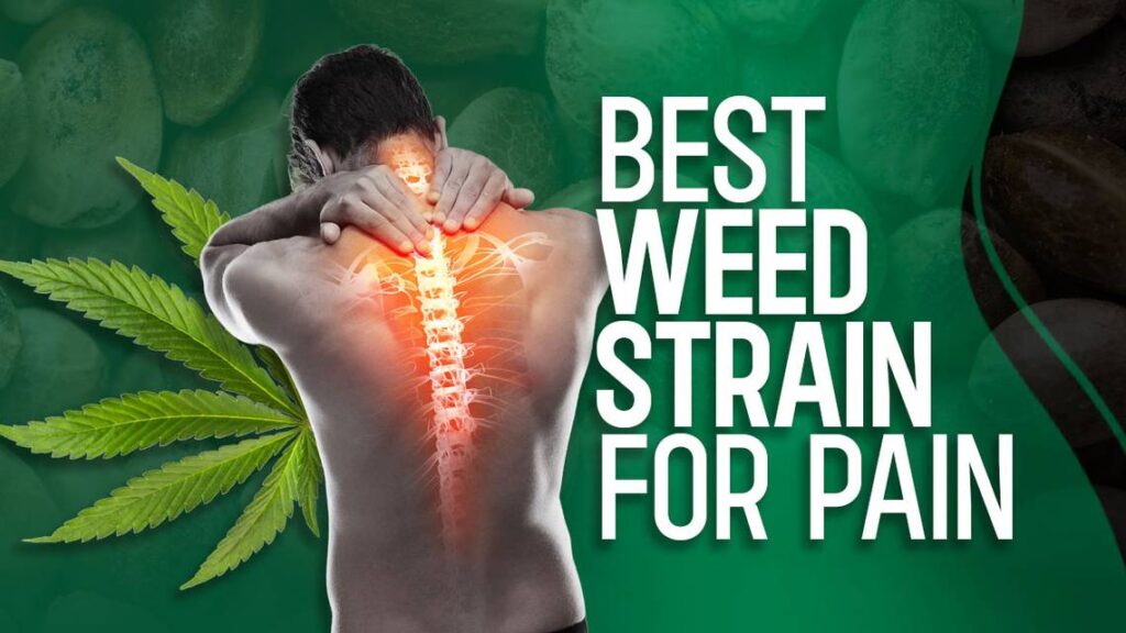 best weed strains for pain