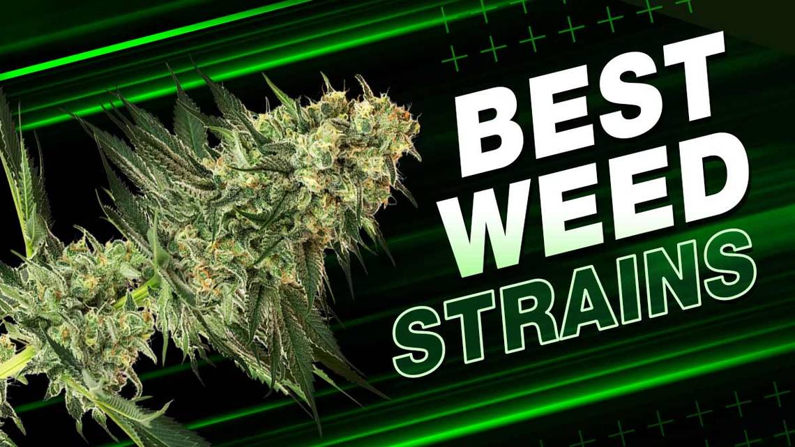 Home Best Weed Strains