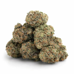 big buddha cheese