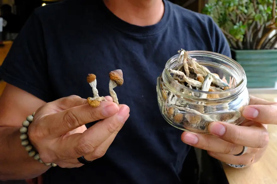 buy high quality shrooms online