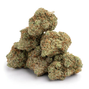candy jack