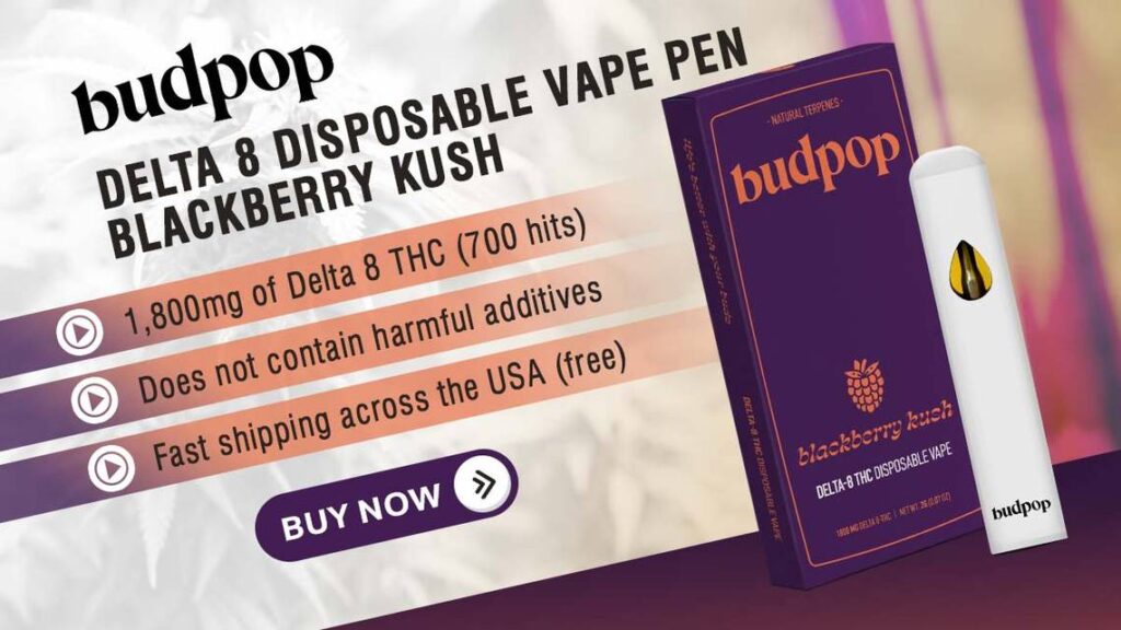 delta 8 disposable vape pen blackberry kush budpop