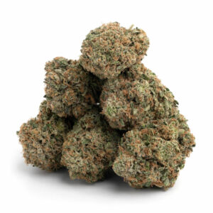 grease monkey