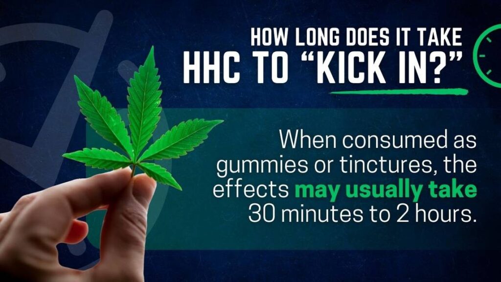 What is HHC? how long does it take hhc to kick in