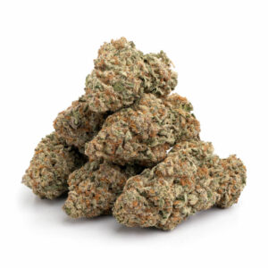 jamaican haze