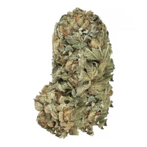 purple kush