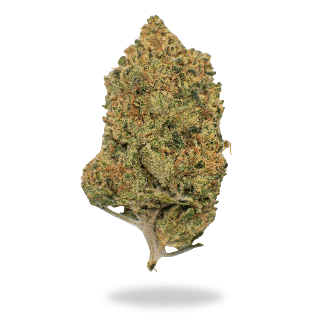 mike tyson mike tyson