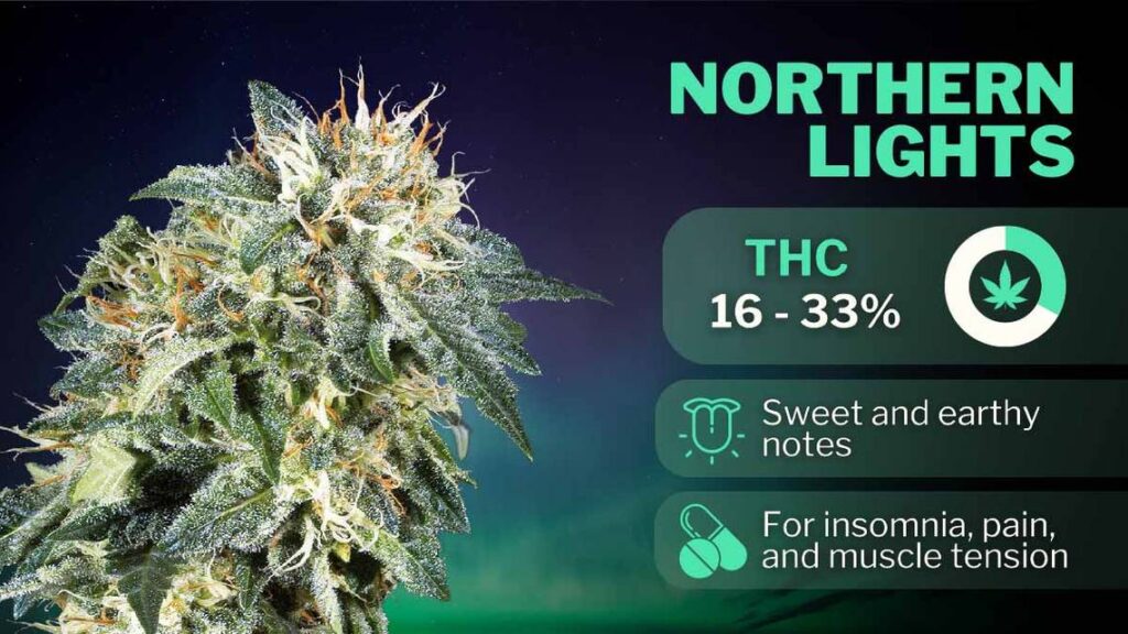 Best Weed for Anxiety in 2024 northern lights strain