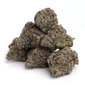 purple tangie