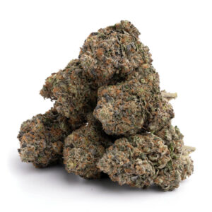 Home rockstar og