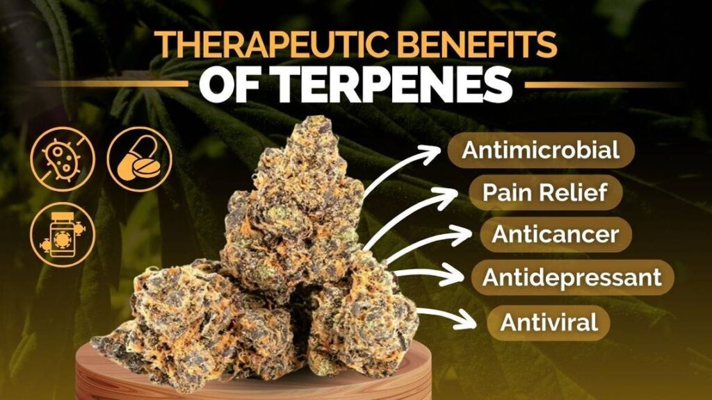 What Is a Terpene therapeutic benefits of terpenes