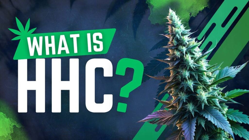 What is HHC? what is hhc fi