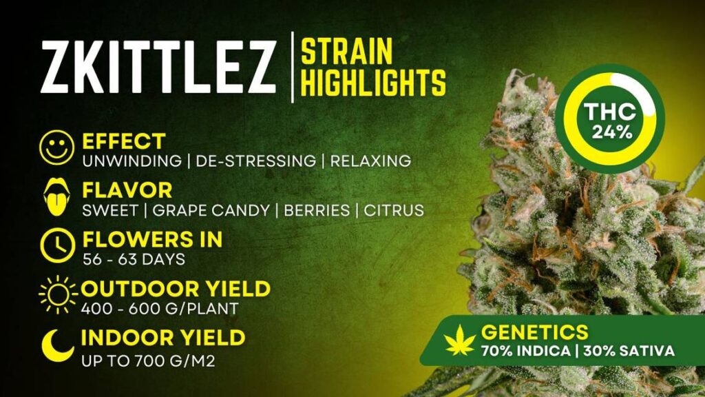 Zkittlez Strain Info zkittlez strain highlights mer 041024