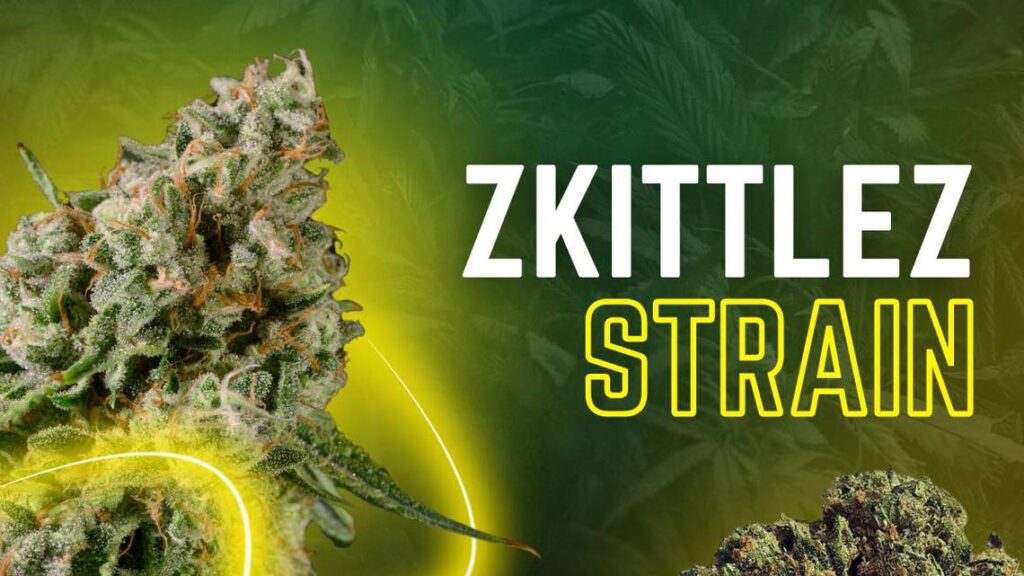 zkittlez strain info