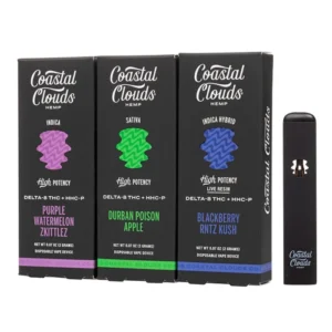 coastal clouds delta 8 thc hhc p disposable