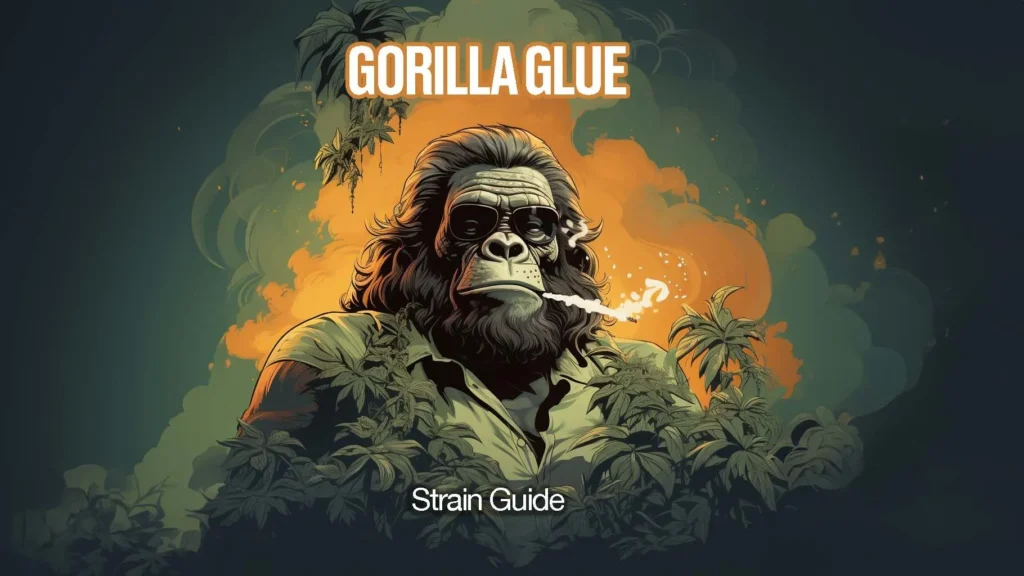 gorilla glue strain guide