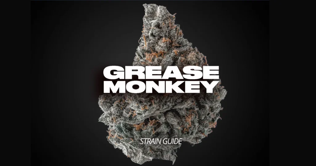 grease monkey strain