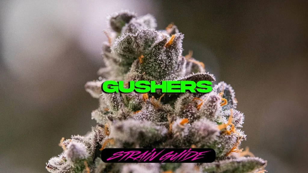 gushers