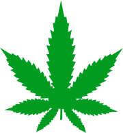 Home icon hybrid