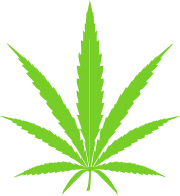 Home icon sativa