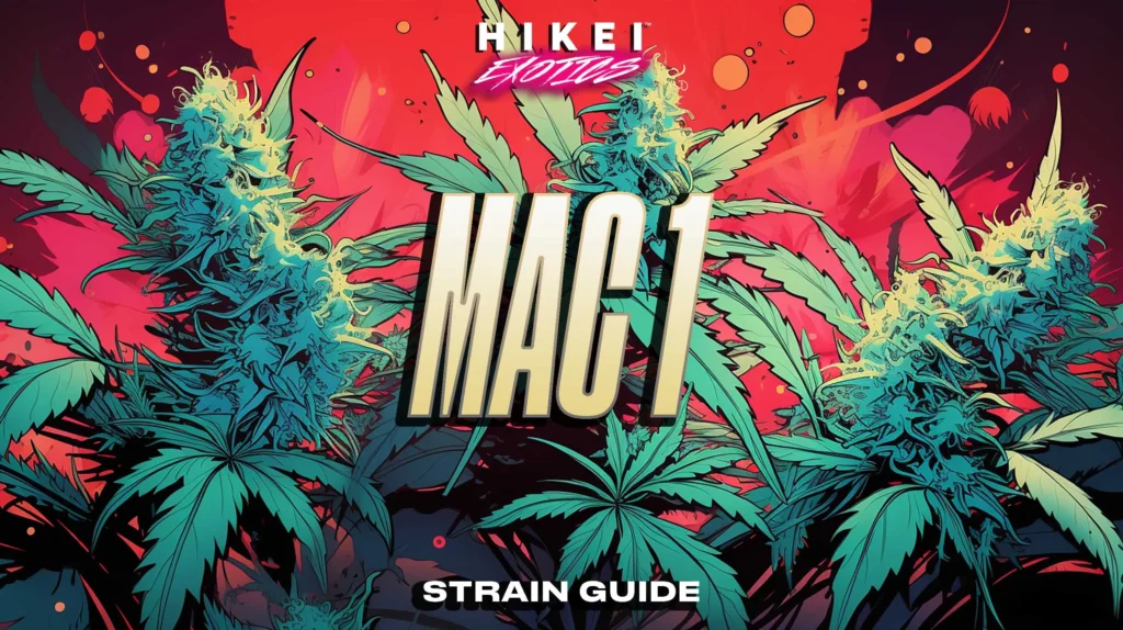 mac 1 strain guide 1024x574 1