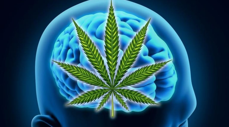 Our Blog Medical Marijuana For Mental Health