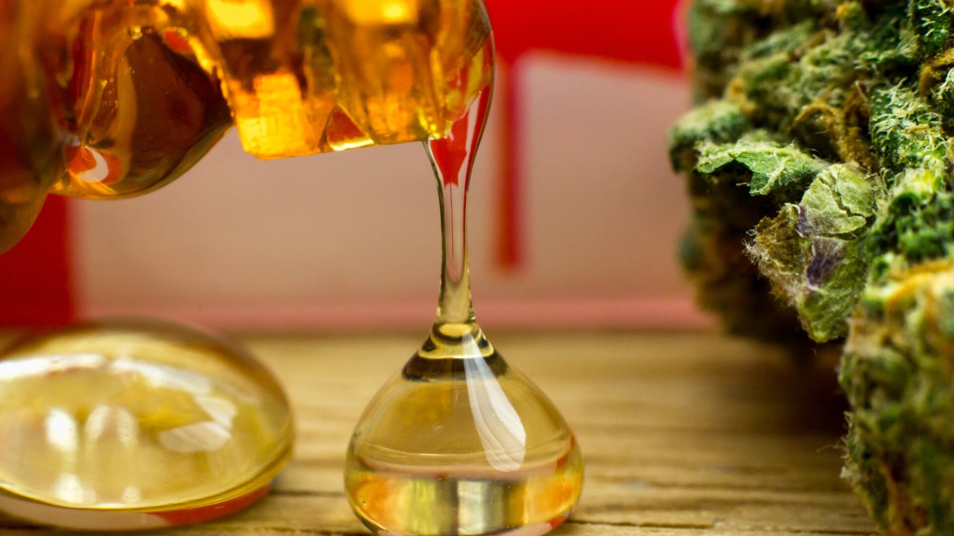Our Blog What is THC Distillate? Everything You Need to Know
