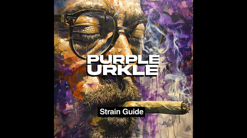 purple urkle