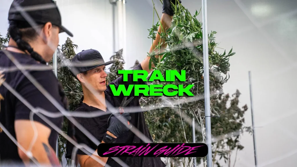 trainwreckstrain
